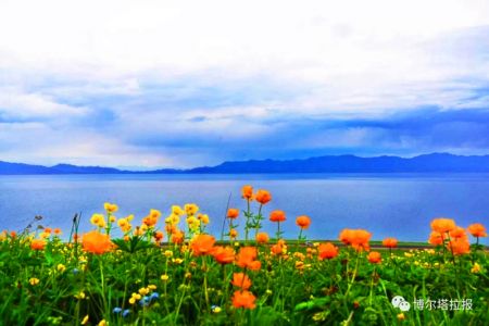 那拉提 巴音布鲁克 九曲十八弯 赛里木湖 霍尔果斯口岸 薰衣草园
