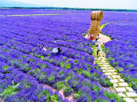 赛里木湖 薰衣草园 那拉提草原 巴音布鲁克 独库公路四365BET_365服务平台_365bet官网体育投注