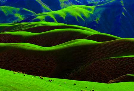 赛里木湖 喀拉峻 那拉提 巴音布鲁克 独库公路