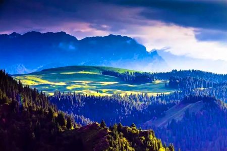 江布拉克1365BET_365服务平台_365bet官网体育投注